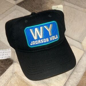 Vintage Jackson hole dad cap